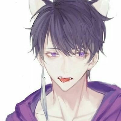 猫妈妈觅食回来天都塌了